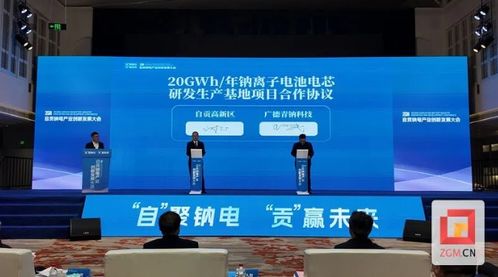 擁抱綠色未來 2024自貢鈉電產業創新發展大會召開