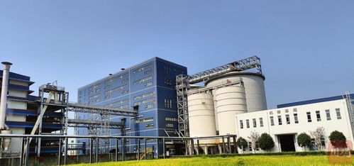 新春走基層丨自貢開放通道 上新 跨境電商產(chǎn)業(yè)蓄勢(shì)待發(fā)